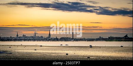 Una vista panoramica di Tallinn al tramonto, con sagome di edifici e guglie contro un cielo colorato. Il primo piano presenta una superficie d'acqua calma r Foto Stock