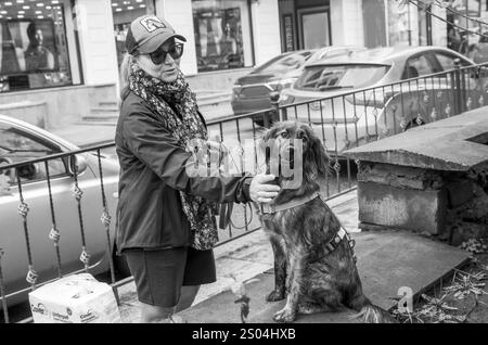 10-19-2024 Londra Regno Unito giovane donna che fomenta e dà da mangiare al suo animale domestico (cane) nel sobborgo di Londra. Cane - difensore guarda in direzione della mia persona . Auto alla pari Foto Stock