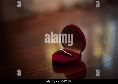 Eleganti anelli in oro esposti in una lussuosa confezione di gioielli in velluto rosso. Foto Stock