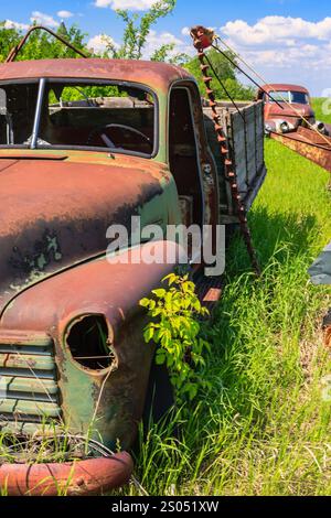 Un vecchio carrello arrugginito è parcheggiato in un campo. Il carrello è circondato da erba ed erbacce. La scena è tranquilla e tranquilla Foto Stock