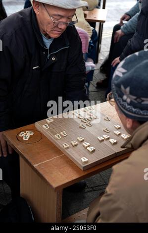 I concorrenti si sfidano a vicenda in un gioco da tavolo strategico chiamato shogi, o scacchi giapponesi, in un parco a Tennoji, Osaka, Giappone. Foto Stock