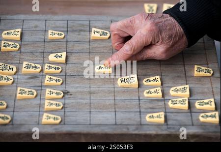 I concorrenti si sfidano a vicenda in un gioco da tavolo strategico chiamato shogi, o scacchi giapponesi, in un parco a Tennoji, Osaka, Giappone. Foto Stock