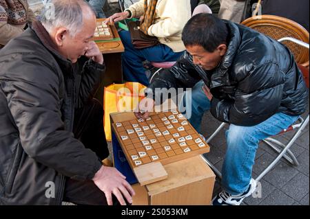 I concorrenti si sfidano a vicenda in un gioco da tavolo strategico chiamato shogi, o scacchi giapponesi, in un parco a Tennoji, Osaka, Giappone. Foto Stock