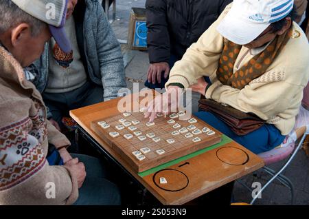 I concorrenti si sfidano a vicenda in un gioco da tavolo strategico chiamato shogi, o scacchi giapponesi, in un parco a Tennoji, Osaka, Giappone. Foto Stock