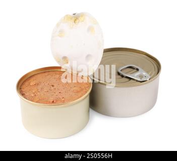 Bagnare gli alimenti per animali domestici in lattine di latta isolate su bianco Foto Stock