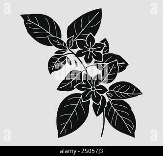 Silhouette di fiori di gelsomino con foglie e rami, perfetta per disegni floreali, illustrazioni botaniche e progetti a tema naturalistico. Illustrazione Vettoriale
