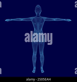 Il corpo della donna è mostrato in uno schema di colore blu. L'immagine è una rappresentazione computerizzata di un corpo umano, con le braccia della donna estese e le gambe Illustrazione Vettoriale