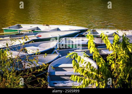 Le barche a remi si sono raggruppate vicino all'iconica Central Park Boathouse a New York City, crogiolandosi nella luce dorata e circondate da una vegetazione lussureggiante. Foto Stock