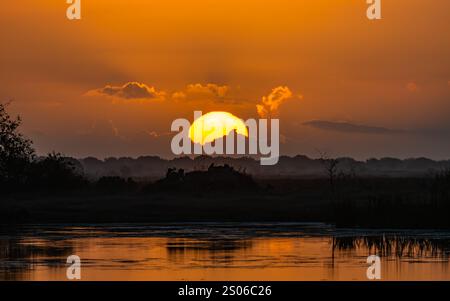 Il sole sorge su una palude nebbiosa. Texas, Stati Uniti. Foto Stock