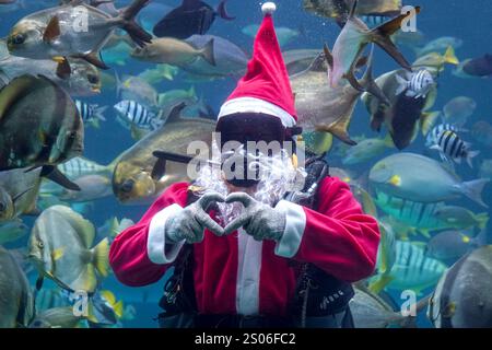 Bali, Indonesia. 25 dicembre 2024. Un subacqueo vestito da Babbo Natale si esibisce in un ristorante acquario a Badung Regency, Bali, Indonesia, il 25 dicembre 2024. Crediti: Dicky Bisinglasi/Xinhua/Alamy Live News Foto Stock