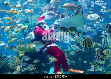 Bali, Indonesia. 25 dicembre 2024. Un subacqueo vestito da Babbo Natale si esibisce in un ristorante acquario a Badung Regency, Bali, Indonesia, il 25 dicembre 2024. Crediti: Dicky Bisinglasi/Xinhua/Alamy Live News Foto Stock