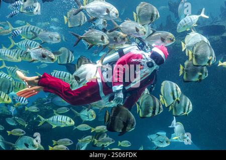 Bali, Indonesia. 25 dicembre 2024. Un subacqueo vestito da Babbo Natale si esibisce in un ristorante acquario a Badung Regency, Bali, Indonesia, il 25 dicembre 2024. Crediti: Dicky Bisinglasi/Xinhua/Alamy Live News Foto Stock