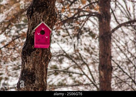 Una casetta per uccelli rosa è appollaiata su un ramo d'albero. La casetta degli uccelli è piccola e rosa ed è circondata dalla neve. Concetto di calore e intimità Foto Stock