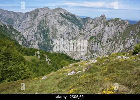 Trekking fino a pena Main nel Parco Nazionale Picos de Europa, Spagna Foto Stock