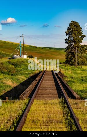 Binari ferroviari che attraversano la regione di Palouse, Washington State, Stati Uniti Foto Stock