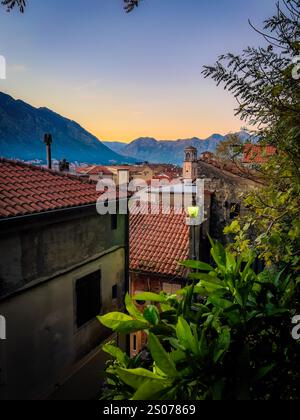 Bellissimo paesaggio urbano della città vecchia di Cattaro al tramonto in Montenegro Foto Stock