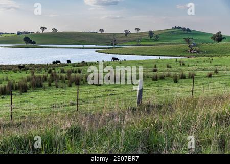Splendida e panoramica diga di Carcoar o lago Carcoar situato nella zona centro-occidentale del nuovo Galles del Sud, Australia Foto Stock
