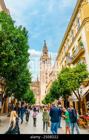 Cordova, Spagna - 28 ottobre 2024: Vista della città con la cattedrale di Siviglia e la torre Giralda. Foto Stock