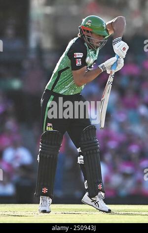 Sydney, Australia. 26 dicembre 2024. Marcus Stoinis di Melbourne Stars viene colpito dalla palla mentre batte durante la partita di Big Bash League tra Sydney Sixers e Melbourne Stars al Sydney Cricket Ground. I Sydney Sixers vincono il loro match di Big Bash League contro i Melbourne Stars al Sydney Cricket Ground per 8 wickets (11 palline rimanenti). Stelle di Melbourne: 194/9 (20 over), Sydney Sixers 198/2 (18,1 over). Credito: SOPA Images Limited/Alamy Live News Foto Stock