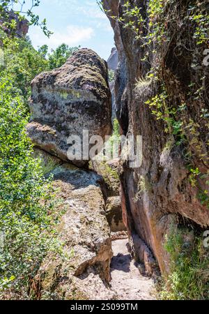 Il Moses Spring Trail to Bear Gulch Reservoir è un breve percorso escursionistico nel Pinnacles National Park in California. Foto Stock