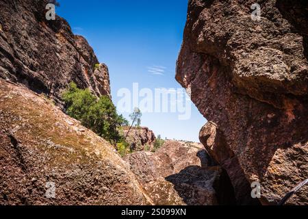 Il Moses Spring Trail to Bear Gulch Reservoir è un breve percorso escursionistico nel Pinnacles National Park in California. Foto Stock