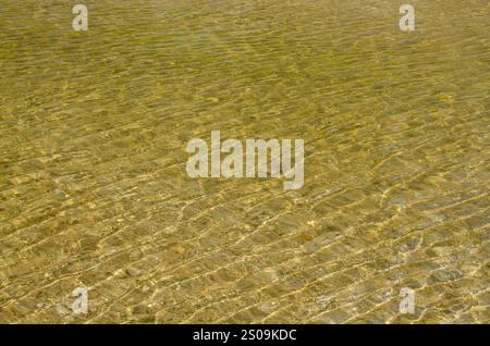 Il Dinosaur Valley State Park, vicino a Glen Rose, Texas, è stato creato nel 1972 per proteggere le tracce dei dinosauri lungo il fiume Paluxy. Foto Stock