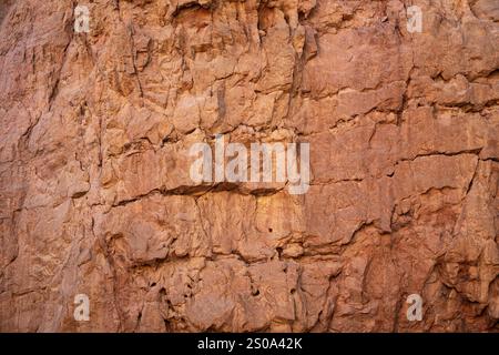 Frammento di un muro di arenaria del canyon rosso in Israele Foto Stock