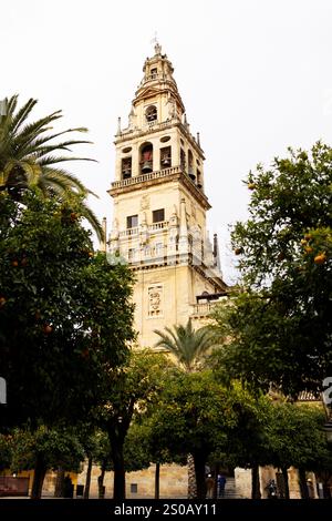 Torre Campanario (campanile) della Moschea-Cattedrale di Cordova, Spagna. Foto Stock