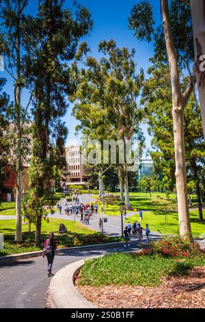 Irvine CA USA - 10 agosto 2017: College Walk to engineering building at UC Irvine. Foto Stock