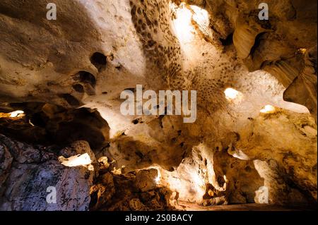 una grotta con stalagmiti e stalattiti. La grotta è grande e scura e le pareti sono coperte da una varietà di formazioni rocciose diverse. Lo stalagmi Foto Stock