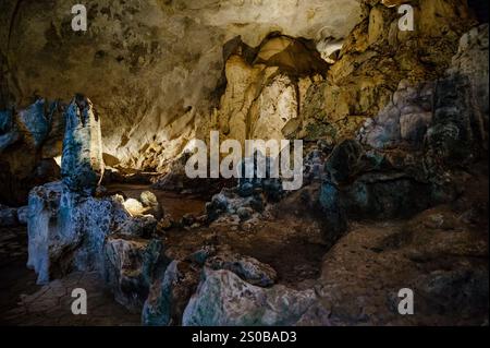 una grotta con stalagmiti e stalattiti. La grotta è grande e scura e le pareti sono coperte da una varietà di formazioni rocciose diverse. Lo stalagmi Foto Stock