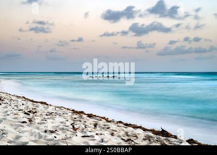 Una tranquilla spiaggia al tramonto, caratterizzata da onde morbide che si infrangono sulla riva. La spiaggia sabbiosa è punteggiata di alghe e il cielo è dipinto di passato Foto Stock
