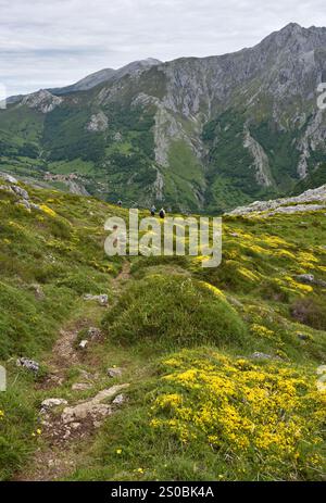 Trekking fino a pena Main nel Parco Nazionale Picos de Europa, Spagna Foto Stock