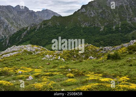 Trekking fino a pena Main nel Parco Nazionale Picos de Europa, Spagna Foto Stock