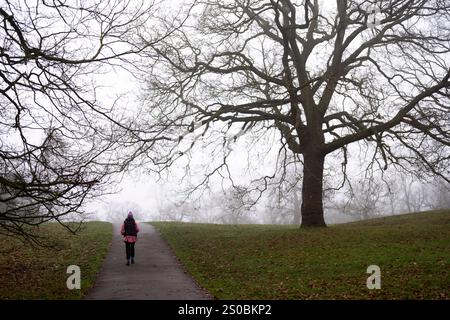 Il clima è perfetto a Greenwich Park a Londra. Nei prossimi giorni il Regno Unito avrà un clima mite e scivoloso, con all'orizzonte una vigilia di Capodanno "umida e piuttosto ventosa", ha detto il Met Office. Data foto: Venerdì 27 dicembre 2024. Foto Stock