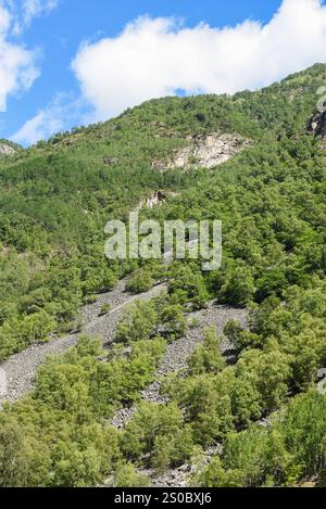 Paesaggio roccioso dei fiordi di montagna norvegesi con alberi verdi ricoperti di rocce grigie dalle valanghe innevate. Foto Stock