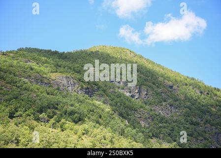 Paesaggio roccioso dei fiordi di montagna norvegesi con alberi verdi ricoperti di rocce grigie dalle valanghe innevate. Foto Stock