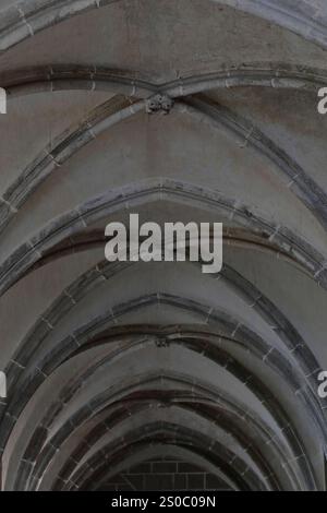 135 porticato gotico a volte a costine che copre la sala dei Cavalieri, possibile scriptorium dell'abbazia costruita nel 1220-25, le Mont-Saint-Michel. Normandia-Francia. Foto Stock