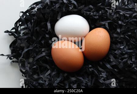 Tre uova multicolore in Un nido realizzate con trucioli neri su vista del primo piano bianco. Foto di scorta di uova bianche, beige e marroni su strisce di carta nere Foto Stock