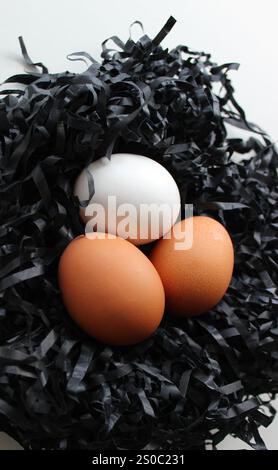 Immagine concettuale verticale delle uova di tre varietà di colori in Un nido di scheggiatura nero. Coperchio in carta grattugiata con tre uova di pollo colorate, vista dall'alto. Foto Stock