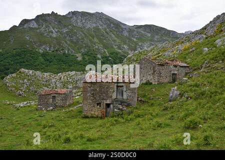 Trekking fino a pena Main nel Parco Nazionale Picos de Europa, Spagna Foto Stock