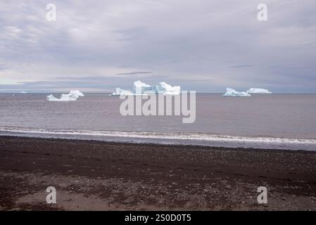 Una tranquilla scena costiera che cattura maestosi iceberg che galleggiano nelle fredde acque artiche al largo della costa della Groenlandia. La fotografia presenta un'impressionante c Foto Stock