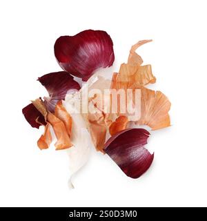 Pile di diverse bucce di cipolla isolate su bianco, vista dall'alto Foto Stock
