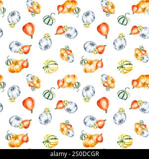 Zucche. Disegno ad acquerello di zucche brillanti. Motivo senza cuciture con verdure su sfondo bianco. Illustrazione botanica per il tuo progetto. Foto Stock