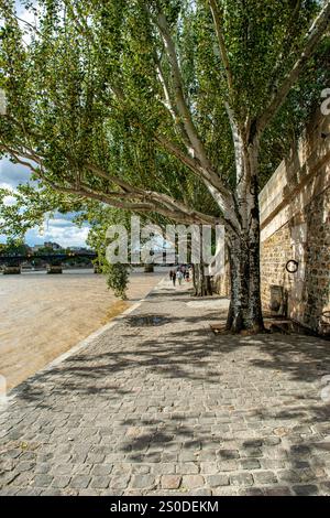 Pedalò lungo le rive della Senna a Parigi in Francia Foto Stock