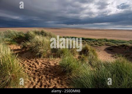 Dune di sabbia; St Annes; Lancashire; Regno Unito Foto Stock