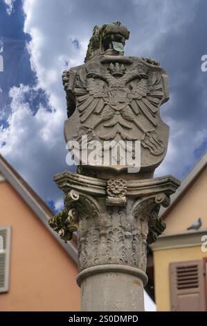 Colonna fontana con leone e stemma con aquila a doppia testa, XVI secolo, Dinkelsbuehl, Baviera, Germania, Europa Foto Stock