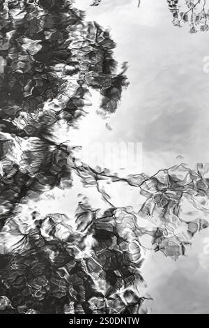 Rami, foglie, nuvole di pioggia scura, riflessi in pozzanghera, spazio libero di testo, monocromatico, tristezza fotografica simbolo, sfocatura in movimento, schema, Contea di Antrim Foto Stock