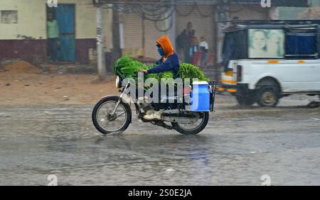 Beawar, Rajasthan, India, 27 dicembre 2024: Pendolari in una strada in mezzo alla pioggia la mattina d'inverno a Beawar. La vita quotidiana nel Rajasthan è stata gravemente colpita dalla pioggia e dalla nebbia che hanno colpito lo stato, portando a un brusco calo delle temperature e a una ridotta visibilità in diverse aree. Il tempo inclemente ha intensificato il freddo, con una fitta nebbia che ricopre molte regioni. L'India Meteorological Department (IMD) ha emesso un allarme arancione per 15 distretti e un allarme giallo per sei distretti nello stato, avvertendo della persistente nebbia densa nei prossimi tre giorni. Crediti: Sumit Saraswat / Alamy Live ne Foto Stock