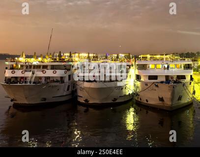 Assuan, Egitto; 18 gennaio 2024: Ammira le maestose crociere sul Nilo attraccate al porto di Assuan (Egitto). Queste crociere offrono viaggi indimenticabili Foto Stock